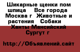 Шикарные щенки пом шпица  - Все города, Москва г. Животные и растения » Собаки   . Ханты-Мансийский,Сургут г.